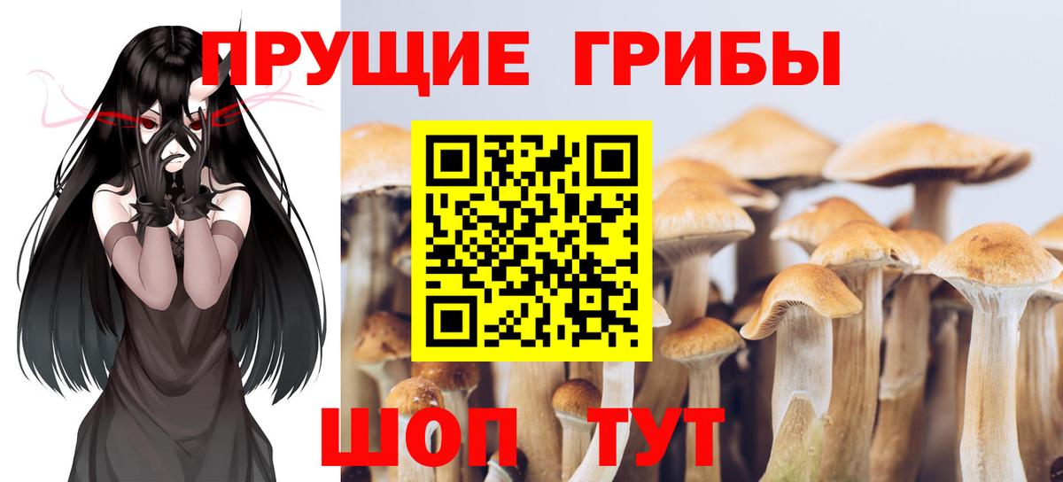Псилоцибиновые грибы MAGIC MUSHROOMS Торжок